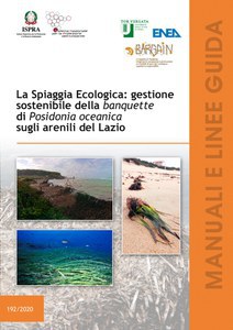 The Ecological Beach: sustainable management of the Posidonia banquette along the Lazio shorelines