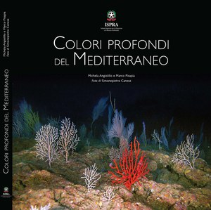 Deep colors of the Mediterranean