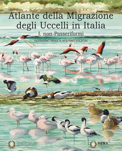 Introduction to the Italian bird migration atlas