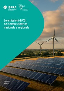 CO 2 emissions in the national and regional power sector