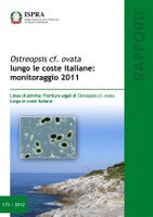Ostreopsis ovata along the Italian coast: monitoring 2011