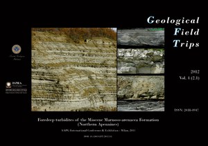 Foredeep turbidites of the Miocene Marnoso-arenacea Formation (Northern Apennines)