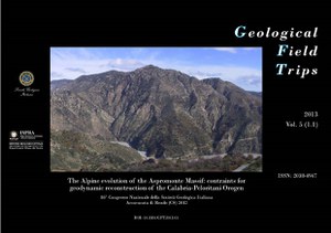 The Alpine evolution of the Aspromonte Massif: contraints for geodynamic reconstruction of the Calabria-Peloritani Orogen