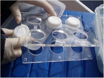 Accomulatori passivi DGT (Diffusive Gradients in Thin Films) Accomulatori passivi DGT (Diffusive Gradients in Thin Films)