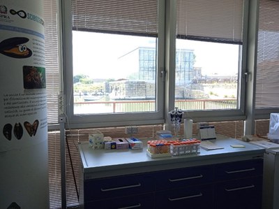 Laboratorio di analisi Laboratorio di analisi