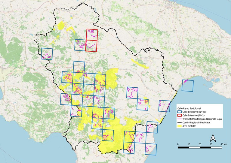 Celle Remo Bartolomei(1).jpg