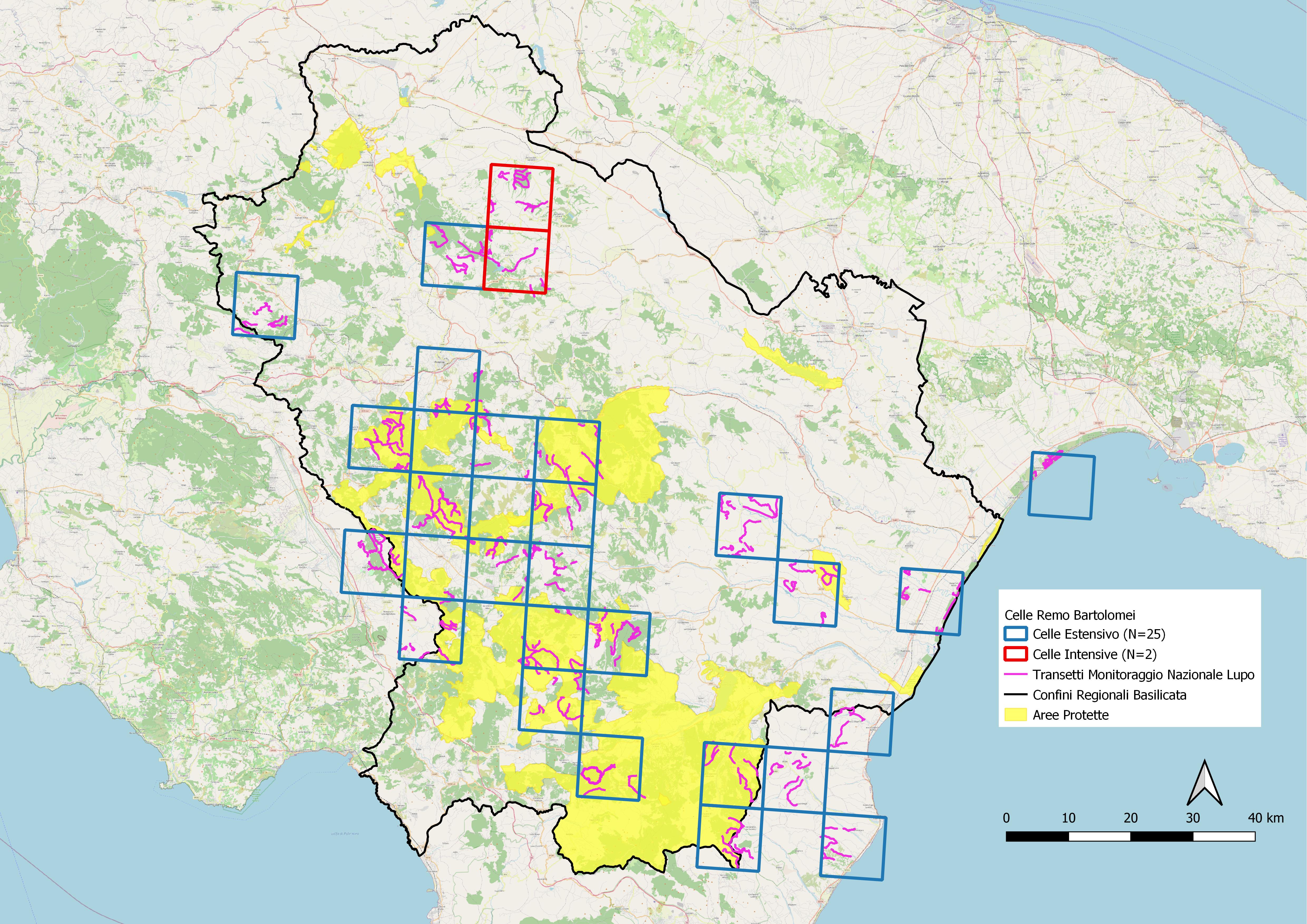 Celle Remo Bartolomei(1).jpg