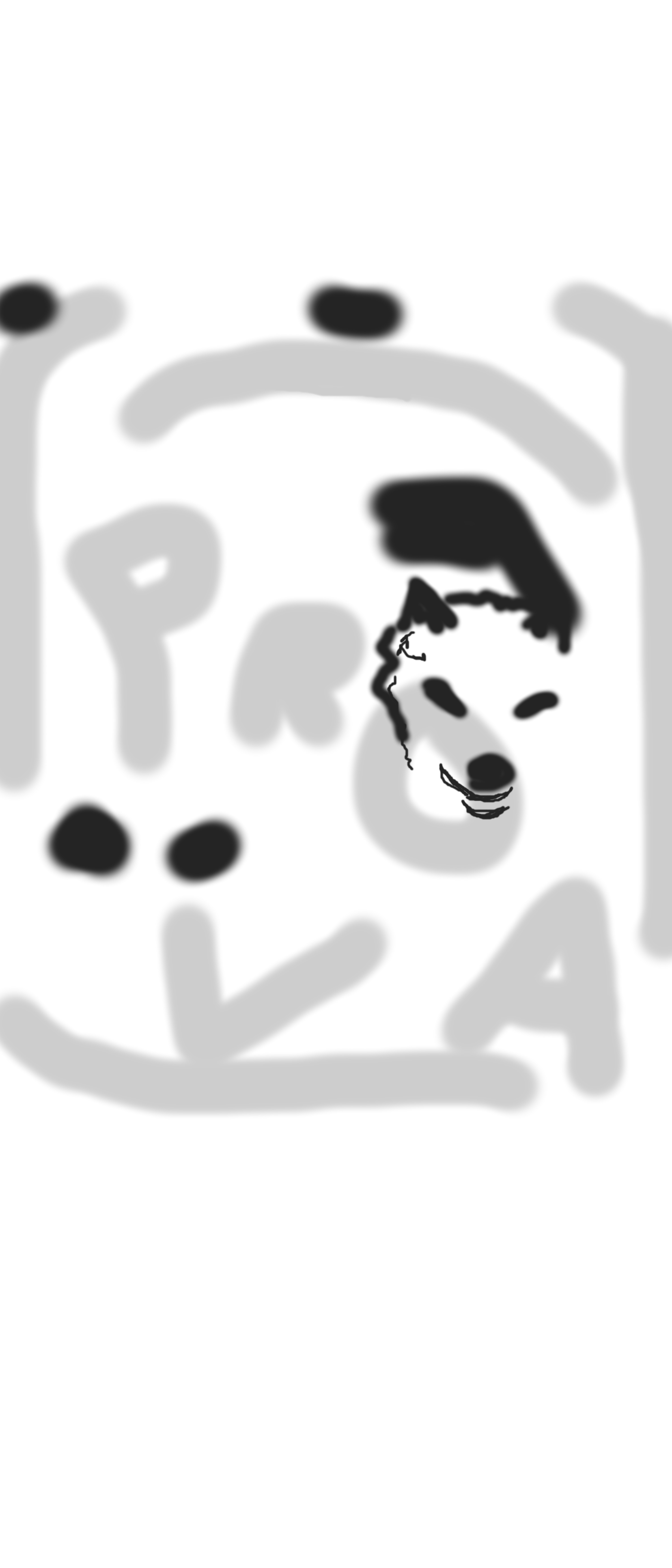 prova 3000x 7000.jpg