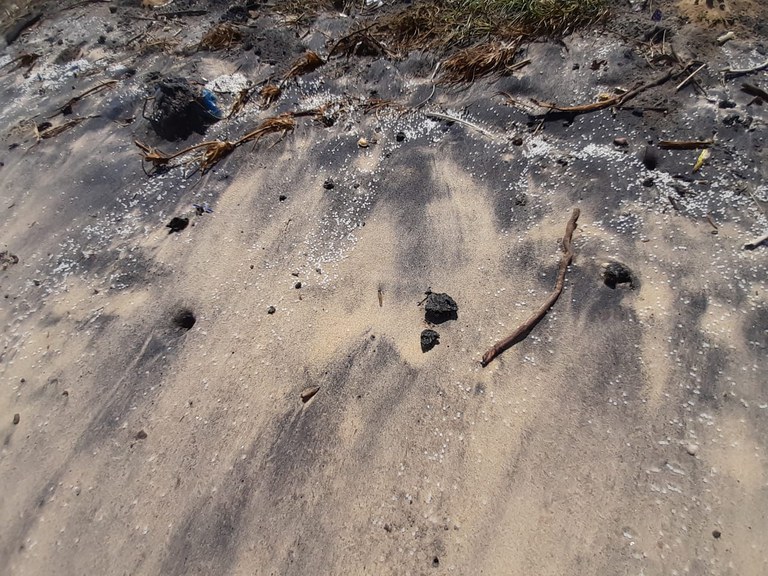 WhatsApp Image 2021-06-21 at 11.27.53 (2).jpeg