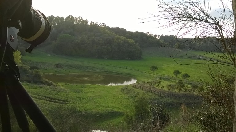 15 ott 2015_censim a castelporziano (1).jpg