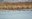 1_aquatic birds-p.jpg