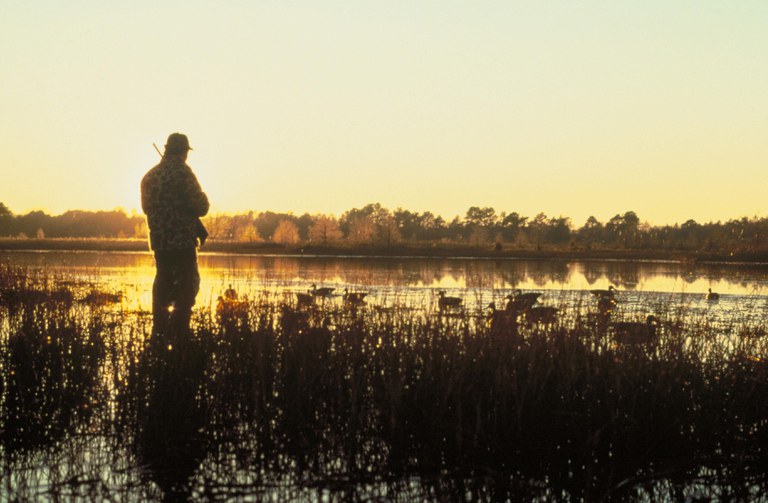 Foto Dave Menke, USFWS_CC0_sito PIXNIO-92744-3658x2400.jpg