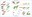 morphometric-analyses.jpg