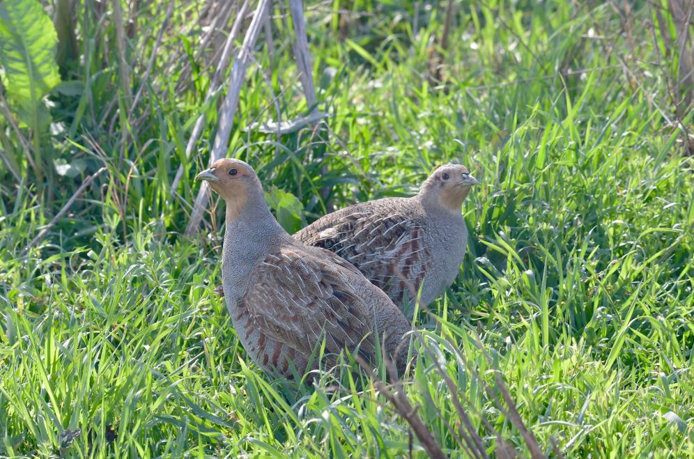 Screenshot 2023-08-29 171955.png