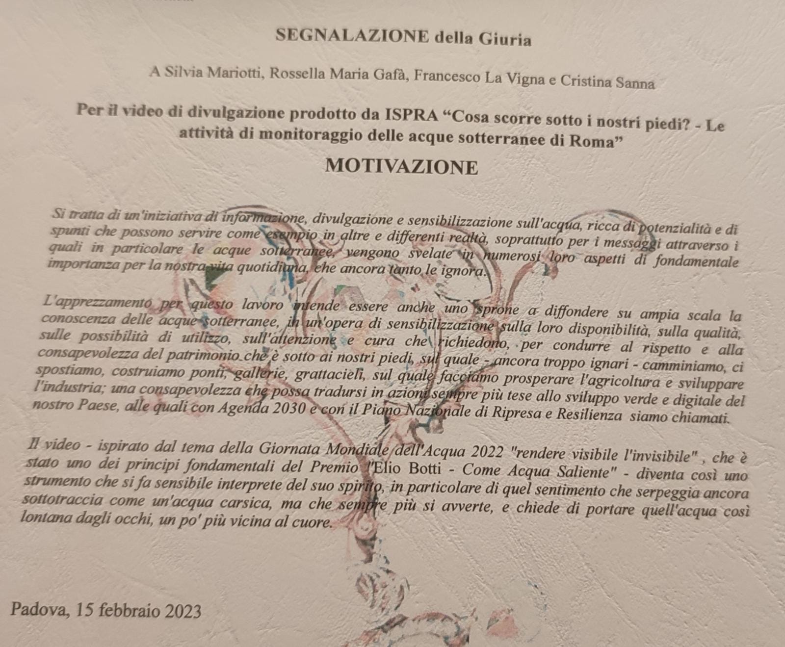 WhatsApp Image 2023-02-15 at 16.42.27.jpeg