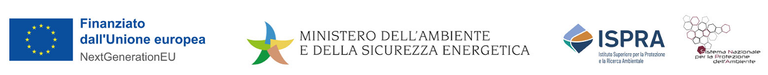 Intestazione-sito-mer.png