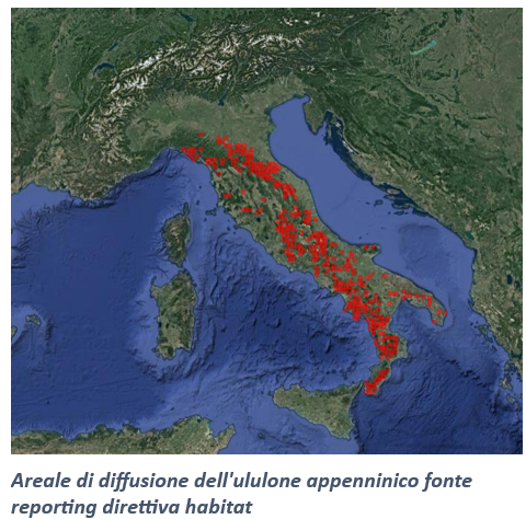 Areale di diffusione dell'ululone appenninico fonte reporting direttiva habitat