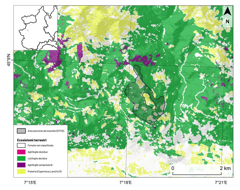 Figura 2: Distribuzione delle aree percorse da incendio nell’anno 2023 e rilasciate da EFFIS (poligoni neri) per l’area piemontese nel comune di Condove (TO). Viene riportata anche la classificazione degli ecosistemi forestali ottenuta mediante il prodotto ECM-F4 relativo all’anno 2020 e la classe prateria proveniente dal layer Copernicus HLR. condove.jpg