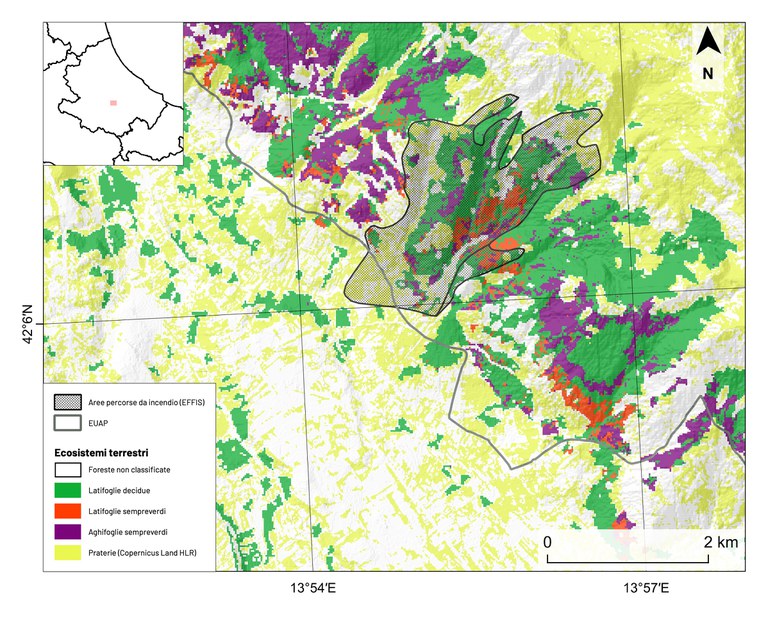 Figura 1: Distribuzione delle aree percorse da incendio nell’anno 2023 e rilasciate da EFFIS (poligoni neri) per l’area abruzzese nei comuni di Pratola Peligna e Sulmona (AQ). In grigio i confini delle aree protette appartenenti alla rete EUAP. Viene riportata anche la classificazione degli ecosistemi forestali ottenuta mediante il prodotto ECM-F4 relativo all’anno 2020 e la classe pra- teria proveniente dal layer Copernicus HLR. majella.jpg