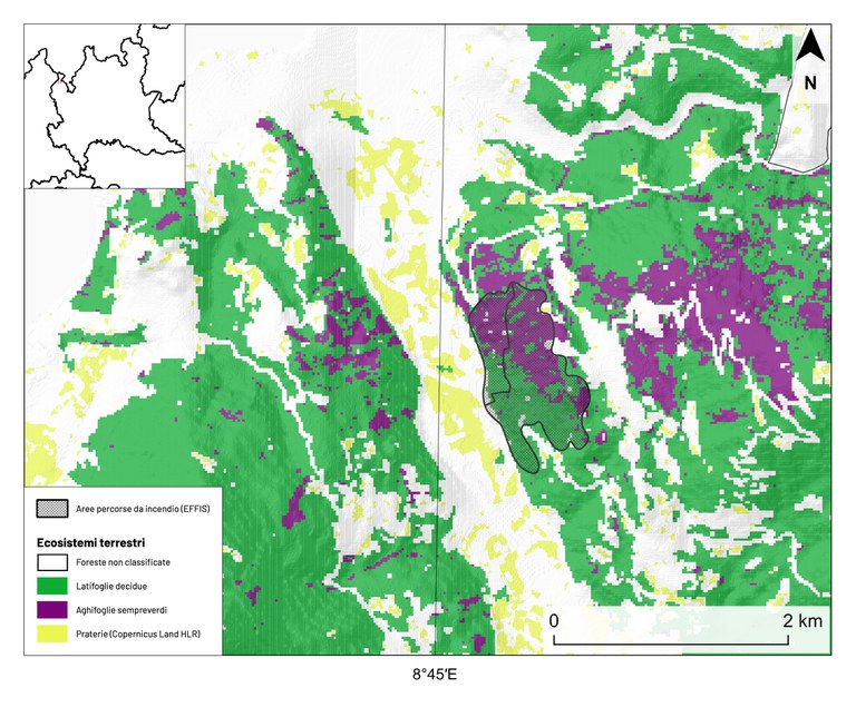 Figura 1: Distribuzione delle aree percorse da incendio nell’anno 2023 e rilasciate da EFFIS (poligoni neri) per l’area lombarda nei comuni di Montegrino Valtravaglia e Luino (VA). Viene riportata anche la classificazione degli ecosistemi forestali ottenuta mediante il prodotto ECM-F4 relativo all’anno 2020 e la classe prateria proveniente dal layer Copernicus HLR. montegrino.jpg