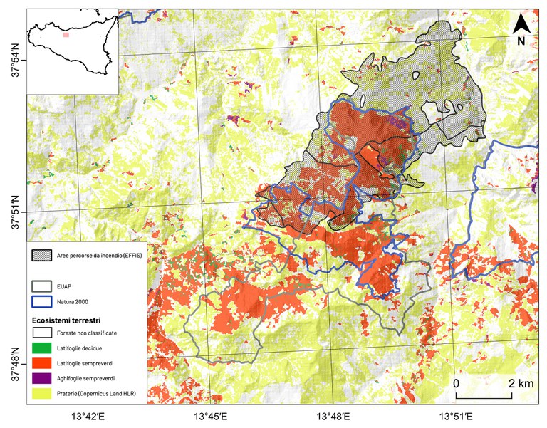 Figura 2: Distribuzione delle aree percorse da incendio il 24 luglio 2023 e rilasciate da EFFIS (poligono nero) per l’area pa- lermitana tra i comuni di Aliminusa, Bagni, Belsito, Cerda, Collesano, Montemaggiore, Scillato e Sclafani. In blu i confini dei siti afferenti alla Rete Natura 2000 e in grigio i confini delle aree protette appartenenti alla rete EUAP. Viene riportata anche la classificazione degli ecosistemi forestali ottenuta mediante il prodotto ECM-F4 relativo all’anno 2020 e la classe prateria proveniente dal layer Copernicus HLR. pal_1104.jpg