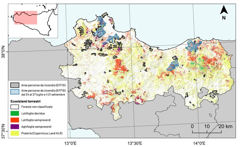 Figura 1: Poligoni neri: distribuzione delle aree percorse da incendio nell’anno 2023 e rilasciate da EFFIS per la provincia di Palermo. Poligoni blu: aree percorse da incendio occorse nei due periodi dal 24 al 27 luglio e il 21 settembre. Viene riportata anche la classificazione degli ecosistemi forestali ottenuta grazie al prodotto Ecosystems Classification Model - Forest4 (ECM-F4) relativo all’anno 2020 e la classe prateria proveniente dal layer Copernicus HLR. palermo.jpg