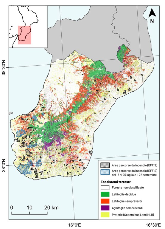 Figura 1: Poligoni neri: distribuzione delle aree percorse da incendio nell’anno 2023 e rilasciate da EFFIS per la provincia di Reggio di Calabria. Poligoni blu: aree percorse da incendio occorse nei due periodi dal 24 al 27 luglio e il 21 settembre. Viene riportata anche la classificazione degli ecosistemi forestali ottenuta grazie al prodotto Ecosystems Classification Model - Forest4 (ECM-F4) relativo all’anno 2020 e la classe prateria proveniente dal layer Copernicus HLR. reggio.jpg