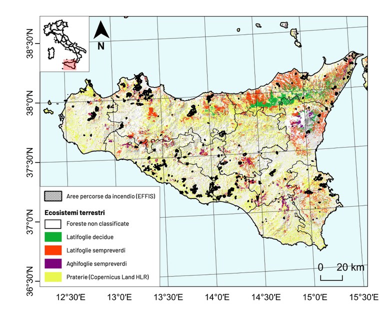 Figura 1: Distribuzione delle aree percorse da incendio nell’anno 2023 e rilasciate da EFFIS per la regione Sicilia. Viene riportata anche la classificazione degli ecosistemi forestali ottenuta grazie al Ecosystems Classification Model - Forest4 (ECM-F4) relativo all’anno 2020 e la classe prateria proveniente dal layer High Layer Resolution Land Monitoring Service Copernicus (HLR). sicilia_23.jpg