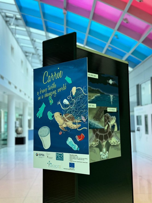 carrie.jpg carrie.jpg