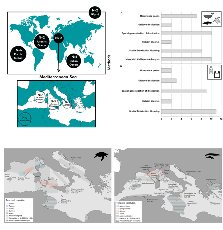 Screenshot 2024-09-26 082050.png rischi spaziali dell’esposizione ai rifiuti marini galleggianti per cetacei e tartarughe marine