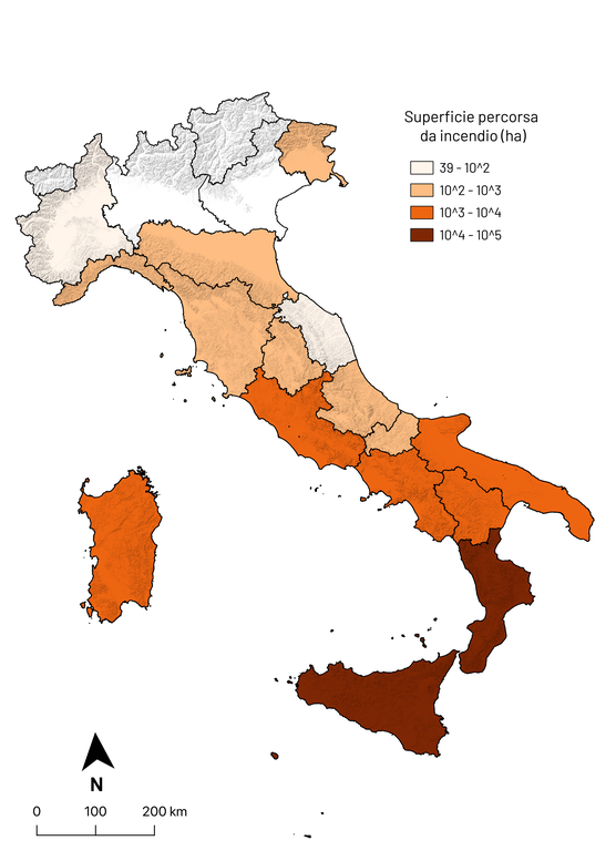 Figura 1 Analisi dati EFFIS