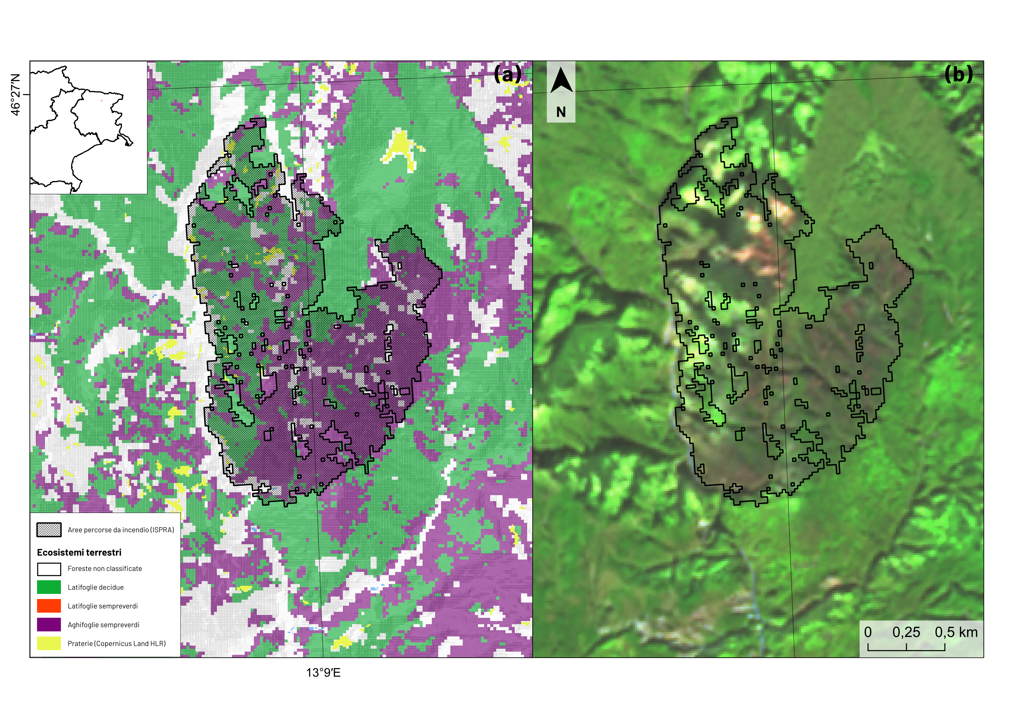 Figura 1 Moggio Udinese
