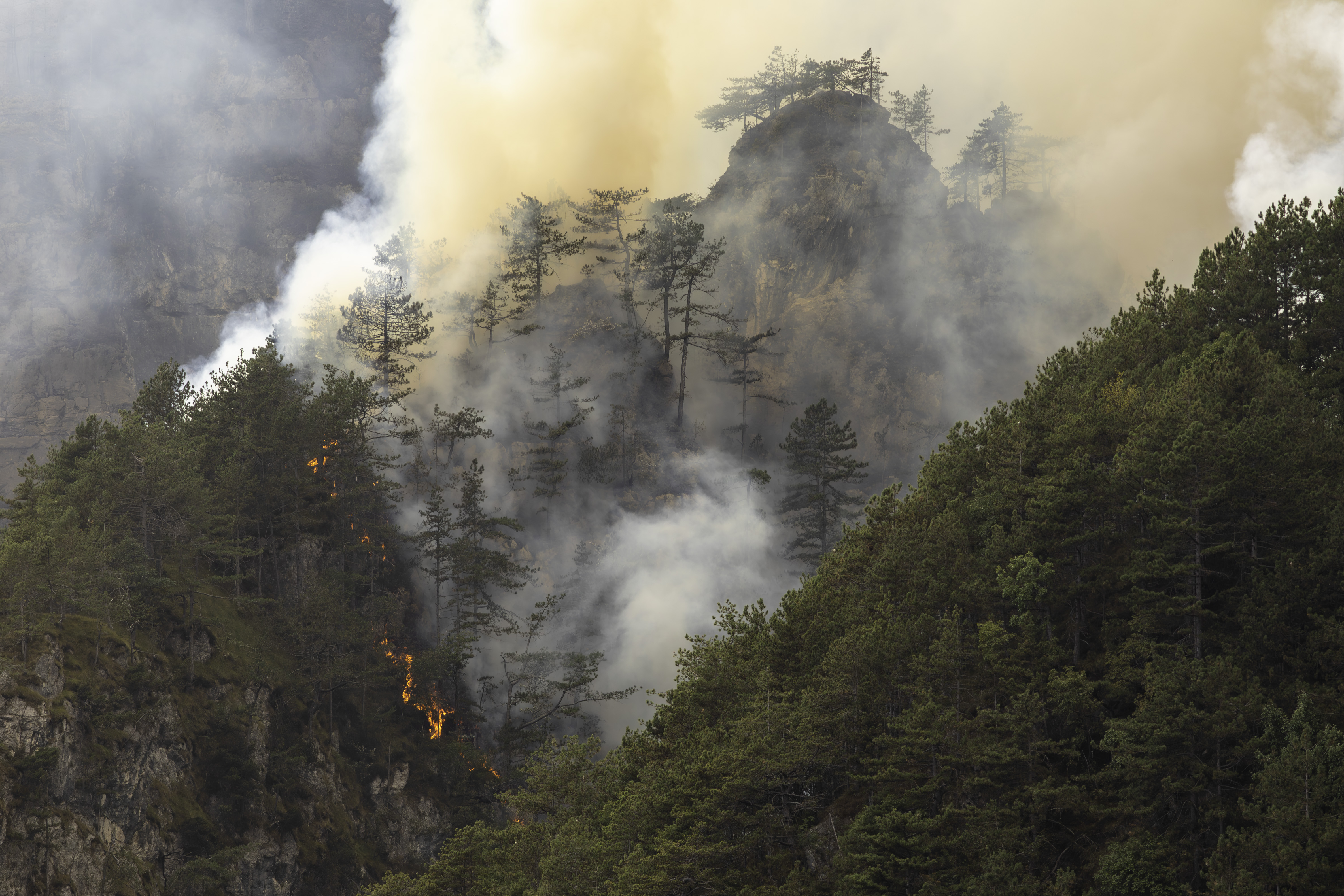 Figura 2 Moggio Udinese