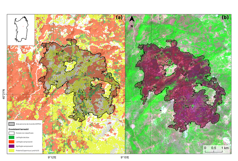 Figura 2 Provincia di Nuoro