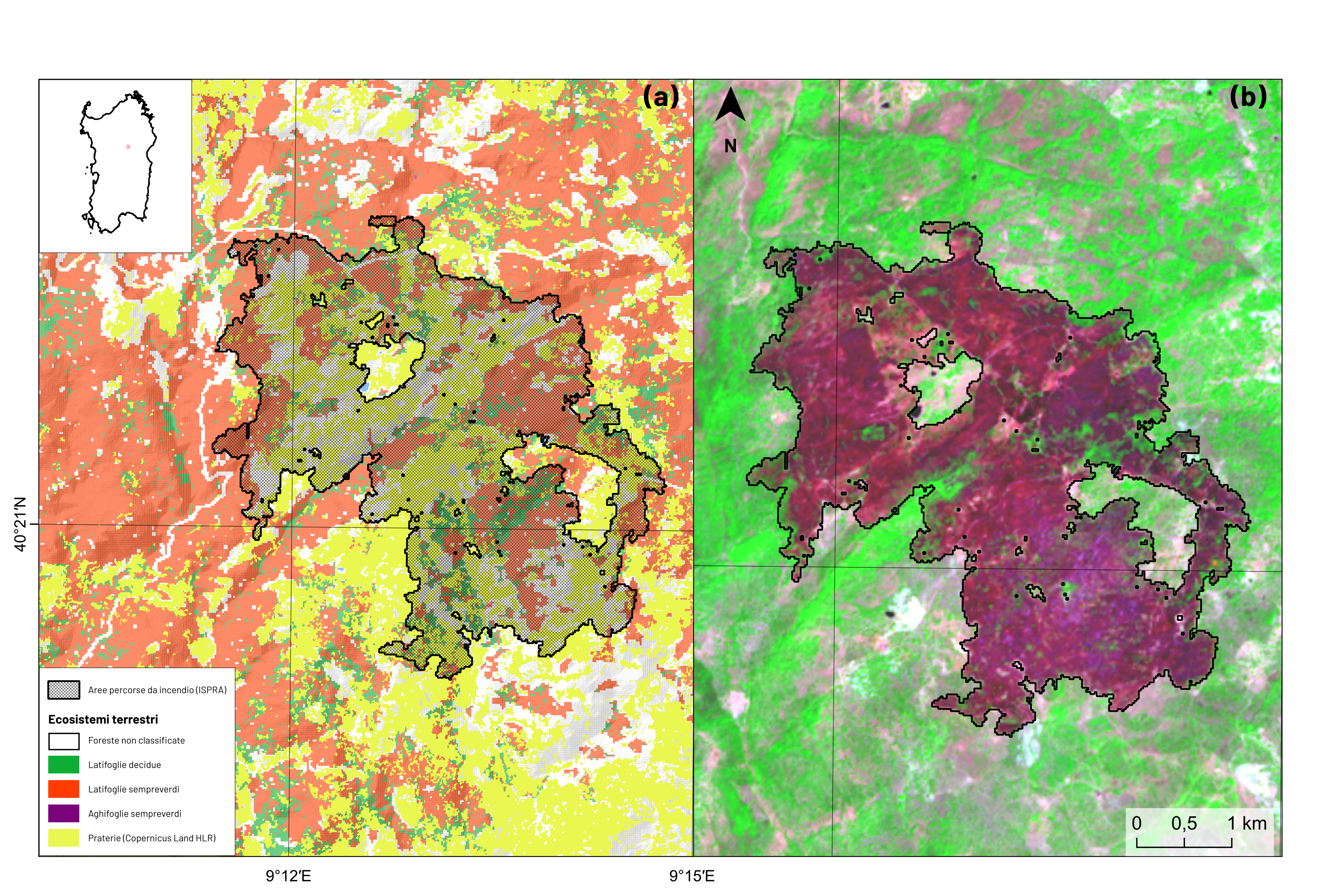 Figura 2 Provincia di Nuoro