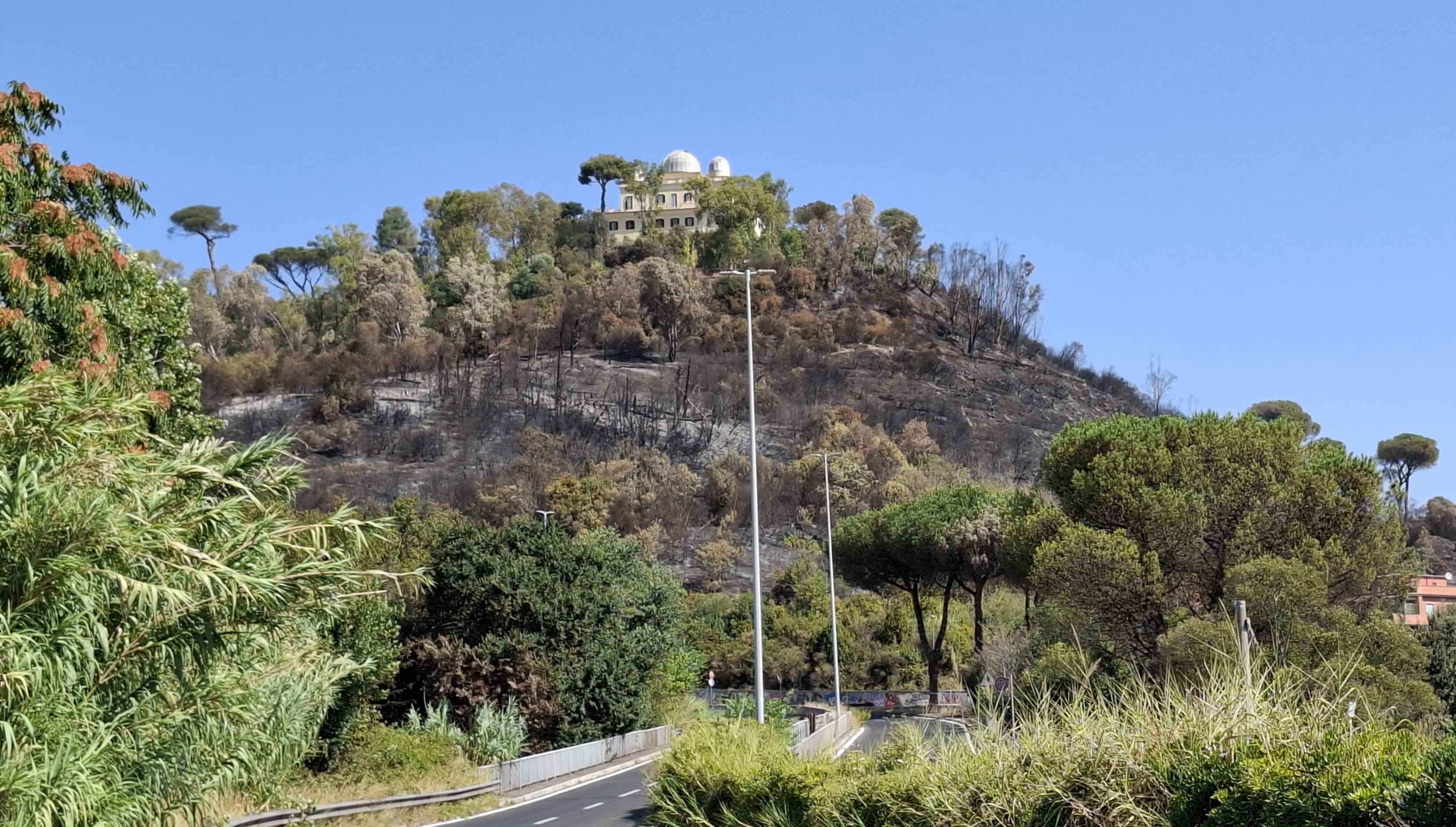 Figura 4 Comune di Roma Capitale