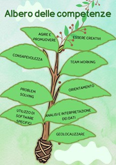 albero-competenze.jpg