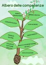 albero-competenze.jpg