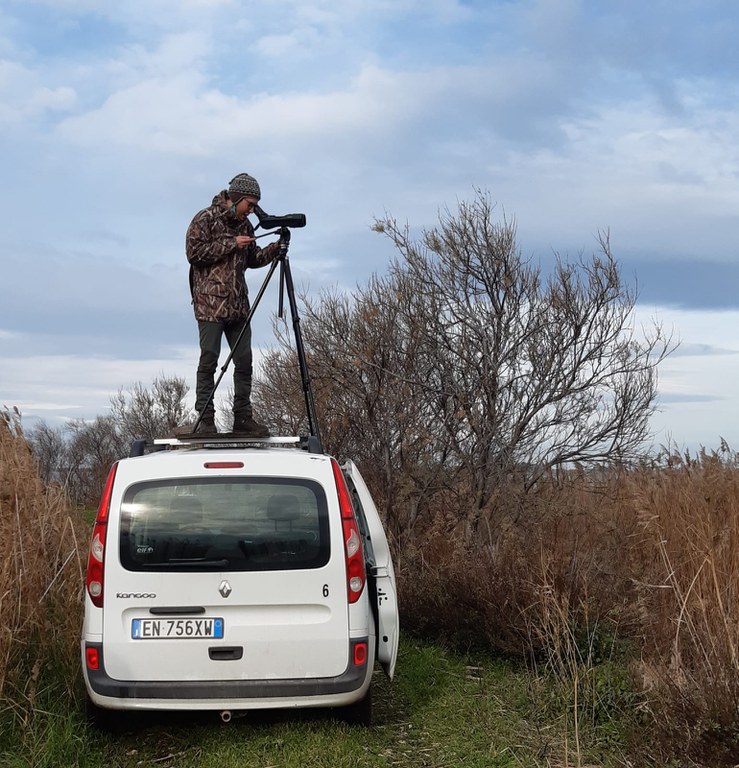 Monitoraggio avifauna Foto: Alvise Luchetta