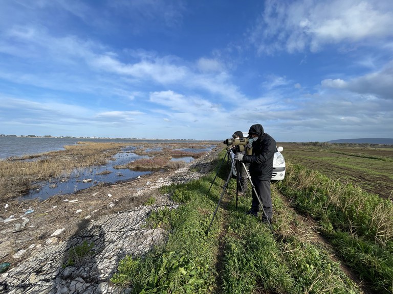 Censimento Lesina Foto: Alvise Luchetta