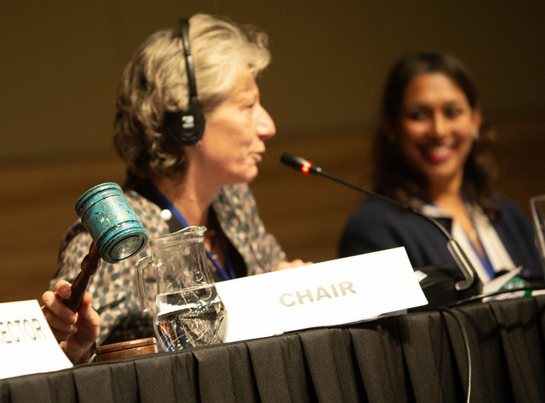 Immagine 1 per sito (Photo by IISD-ENB - Angeles Estrada Vigil) (1).jpg