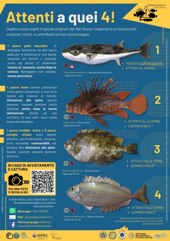 LOCANDINA_Attenti a quei 4!QR.jpg