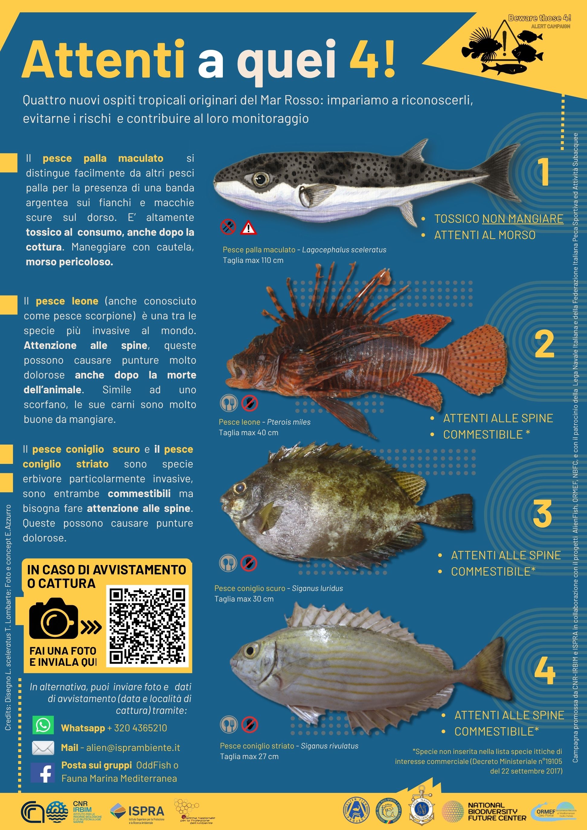 LOCANDINA_Attenti a quei 4!QR.jpg