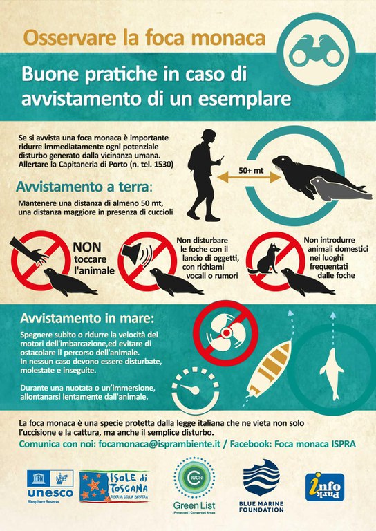 Osservare la foca monaca