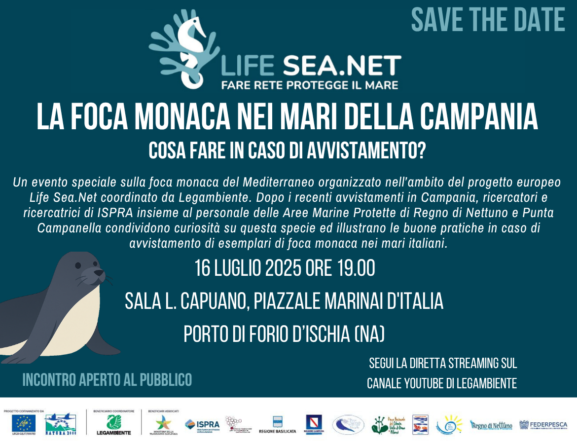 save the date Foca Monaca.png