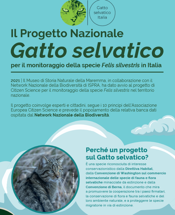 Screenshot 2025-10-10 082922.png