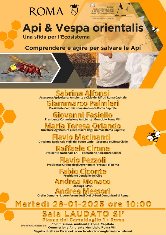 Ultima locandina Api e Vespe.jpeg