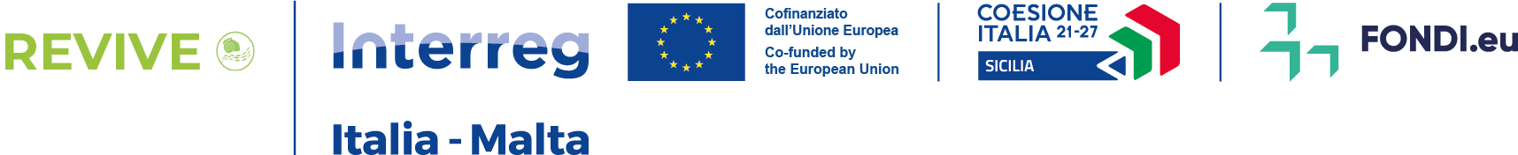 I-M_C REVIVE_Logo (1).png