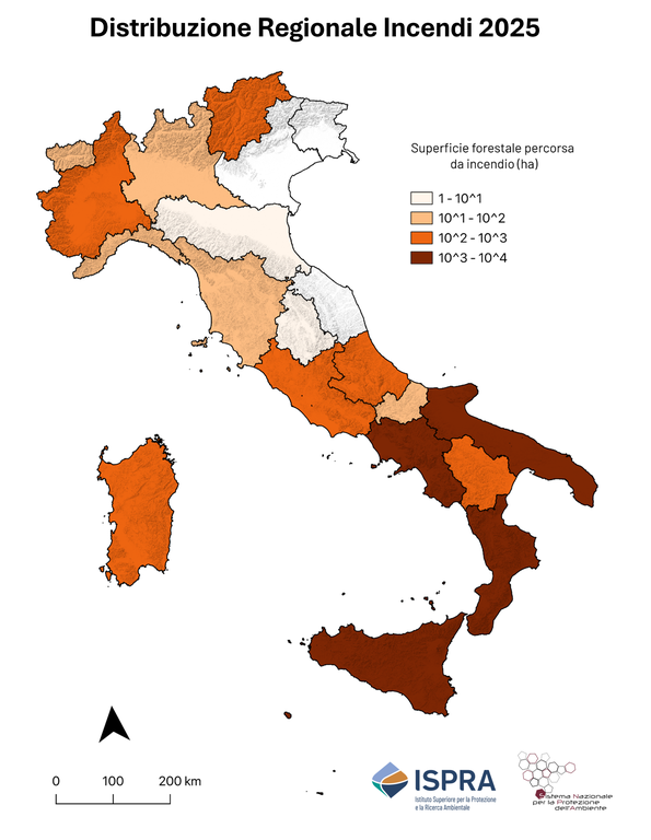 distribuzione regionale incendi (2).png