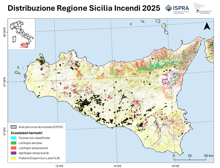 distribuzione Sicilia (1).PNG